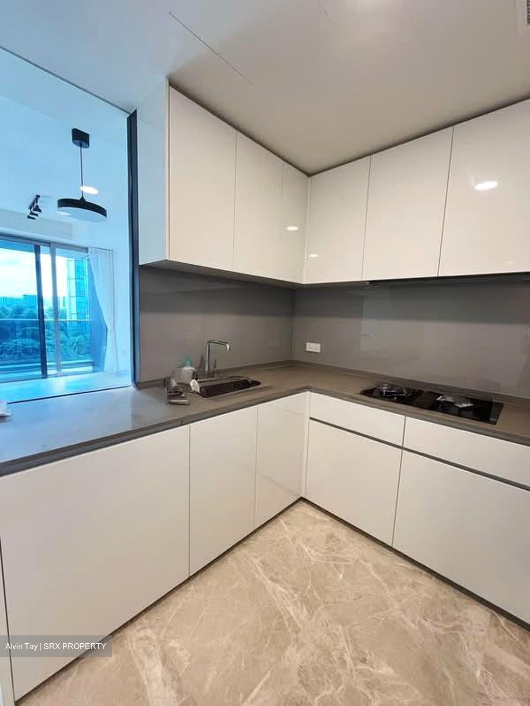 Amber Park (D15), Condominium #562985941